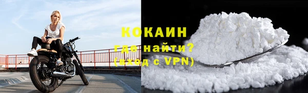 шишки Бородино