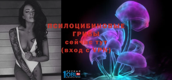 ГАЛЛЮЦИНОГЕННЫЕ ГРИБЫ Богданович