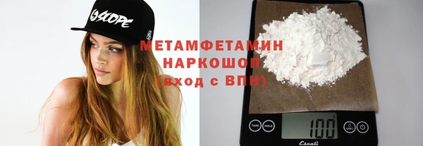 ГАЛЛЮЦИНОГЕННЫЕ ГРИБЫ Богданович
