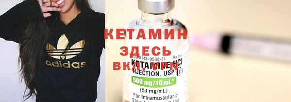 ГАЛЛЮЦИНОГЕННЫЕ ГРИБЫ Богданович