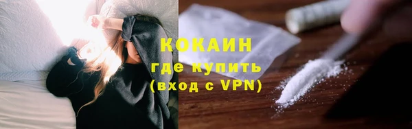 шишки Бородино