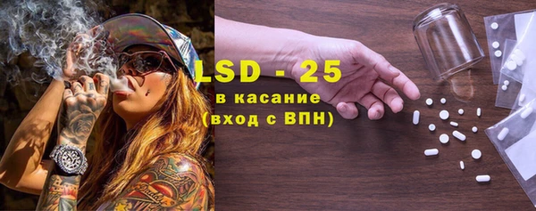 ГАЛЛЮЦИНОГЕННЫЕ ГРИБЫ Богданович