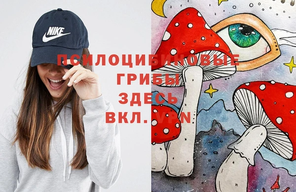 мескалин Богородицк