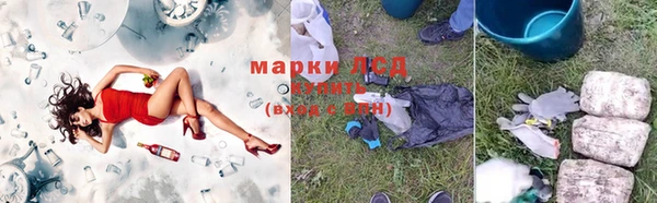 шишки Бородино