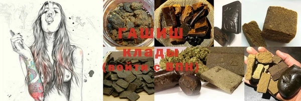 шишки Бородино