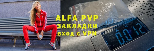 шишки Бородино
