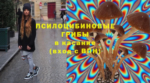 мескалин Богородицк
