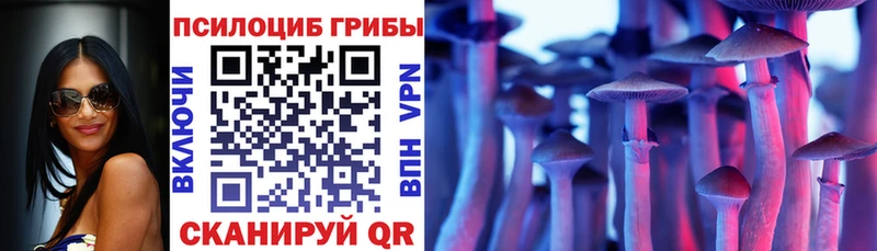 hydra tor  Севастополь  Псилоцибиновые грибы GOLDEN TEACHER 